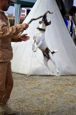 Прикрепленное изображение: _DSC7016 (Копировать).JPG